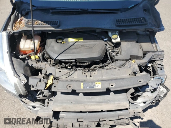 2013 Ford Escape SEL with VIN 1FMCU9HX1DUC79086, listed as a Copart auction lot 57312515 with 124,928 mi miles and Salvage title. Bid and sale history available at DreamBid. Image 12.