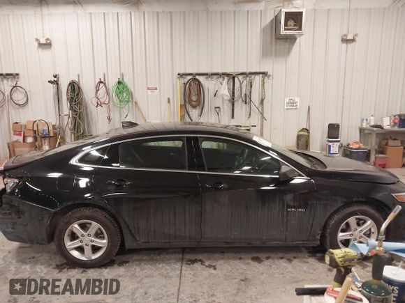 2022 Chevrolet Malibu LS with VIN 1G1ZB5ST1NF207984, listed as a IAAI auction lot 41466019 with 37,051 mi miles and . Bid and sale history available at DreamBid. Image 14.