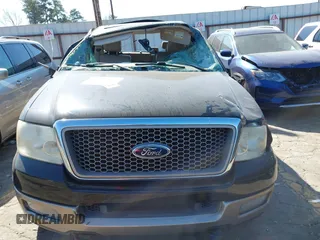 2005 Ford F-150 XLT with VIN 1FTPX145X5FA53380, listed as a IAAI auction lot 41631934 with 1 mi miles. Bid and sale history available at carsss.com. Image 11.