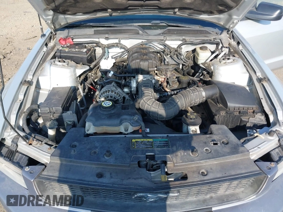 2006 Ford Mustang Standard с VIN 1ZVFT84N465102562, выставлен на аукционе IAAI как лот 42453410 с пробегом 142 098 миль миль и . История ставок и продаж доступна на DreamBid. Изображение 10.