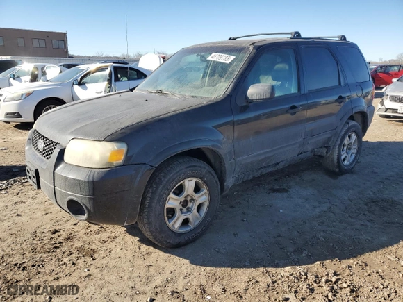 2006 Ford Escape Limited with VIN 1FMYU04196KA34229, listed as a Copart auction lot 46709785 with 203,203 mi miles and Clean Title. Bid and sale history available at carsss.com. Image 1.