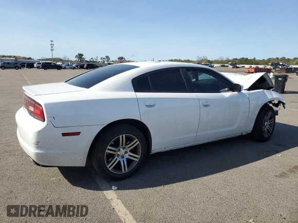2013 Dodge Charger Police z VIN 2C3CDXAG3DH521581, wystawiony jako Copart lot #55010665 z przebiegiem 112 654 mil mil oraz Szkoda całkowita • Salvage title. Historia ofert i sprzedaży dostępna na DreamBid. Obrazek 3.