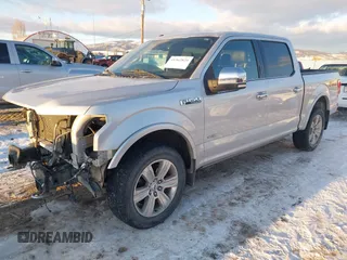 2015 Ford F-150 XLT with VIN 1FTEW1EG7FFC95491, listed as a IAAI auction lot 41362829 with 118,907 mi miles. Bid and sale history available at carsss.com. Image 17.