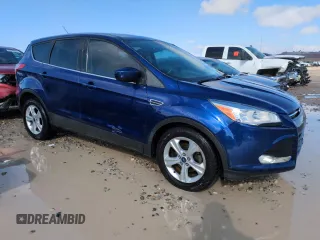 2014 Ford Escape SE with VIN 1FMCU0GX3EUC52325, listed as a Copart auction lot 46494755 with 147,165 mi miles and Salvage Title. Bid and sale history available at DreamBid. Image 4.
