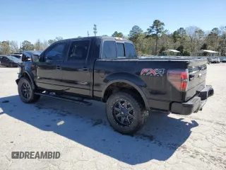 2013 Ford F-150 XL with VIN 1FTFW1ETXDFC09265, listed as a Copart auction lot 48344915 with 163,261 mi miles and Salvage Title. Bid and sale history available at DreamBid. Image 2.