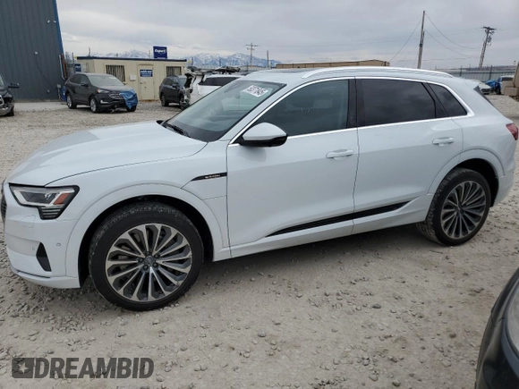 2019 Audi e-tron Prestige with VIN WA1VABGE9KB021981, listed as a Copart auction lot 50371845 with 46,624 mi miles and Salvage Title. Bid and sale history available at carsss.com. Image 1.