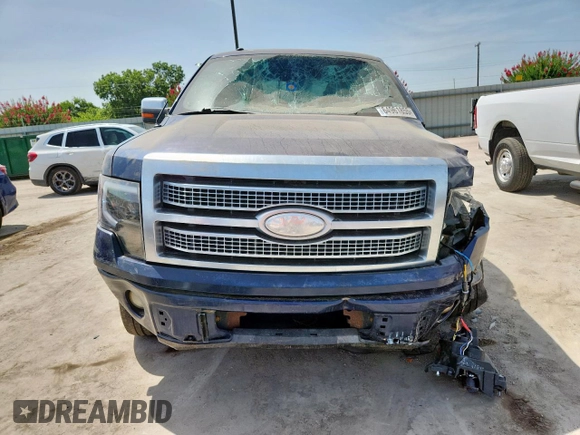 2009 Ford F-150 XL with VIN 1FTPW12V19FA04273, listed as a Copart auction lot 64961855 with Not provided miles and Salvage title. Bid and sale history available at DreamBid. Image 5.