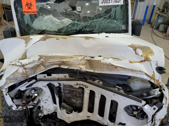 2016 Jeep Wrangler Unlimited Freedom with VIN 1C4BJWDG8GL179946, listed as a Copart auction lot 56891105 with Not provided miles and Salvage title. Bid and sale history available at DreamBid. Image 12.