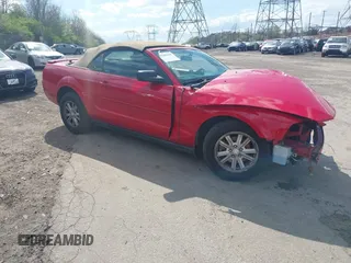 2008 Ford Mustang Deluxe with VIN 1ZVHT84N585152012, listed as a IAAI auction lot 42041018 with 87,513 mi miles and . Bid and sale history available at DreamBid. Image 1.