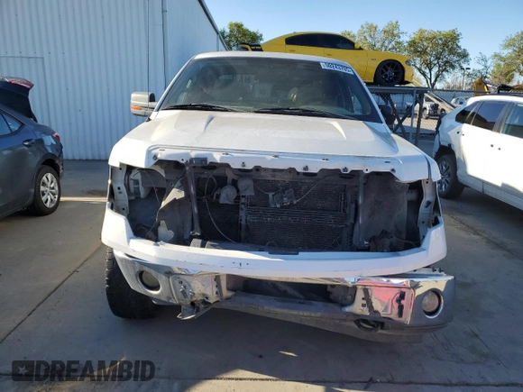 2009 Ford F-150 XL with VIN 1FTPX14V09FB46656, listed as a Copart auction lot 50243765 with 0 mi miles and Clean Title. Bid and sale history available at carsss.com. Image 5.