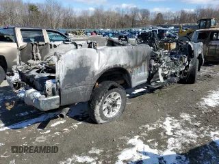 2021 Ford Super Duty F-250 SRW XL with VIN 1FT7X2BN4MEC84191, listed as a Copart auction lot 46066575 with 0 mi miles and Salvage Title. Bid and sale history available at carsss.com. Image 3.