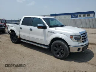2013 Ford F-150 XL with VIN 1FTFW1EF6DKF53449, listed as a Copart auction lot 59697185 with 166,302 mi miles and Salvage title. Bid and sale history available at DreamBid. Image 4.