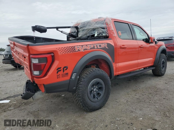2023 Ford F-150 Raptor with VIN 1FTFW1RG4PFB17389, listed as a Copart auction lot 51703635 with 19,772 mi miles and Salvage Title. Bid and sale history available at DreamBid. Image 3.