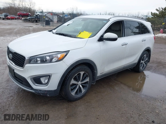 2017 Kia Sorento EX with VIN 5XYPHDA15HG234968, listed as a IAAI auction lot 41663483 with 154,899 mi miles and . Bid and sale history available at carsss.com. Image 17.