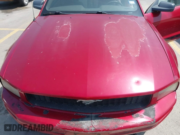 2008 Ford Mustang Deluxe with VIN 1ZVHT80N685119283, listed as a IAAI auction lot 41930262 with 93,445 mi miles and . Bid and sale history available at DreamBid. Image 6.