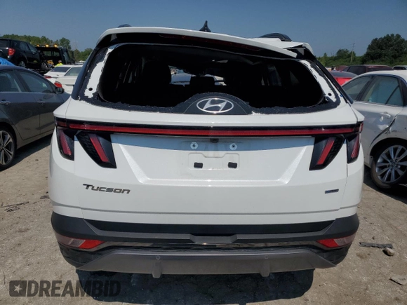 2022 Hyundai Tucson Limited with VIN 5NMJECAE1NH079770, listed as a Copart auction lot 66113754 with 0 mi miles and Salvage Title. Bid and sale history available at carsss.com. Image 6.