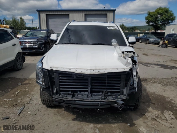 2019 Cadillac Escalade Luxury with VIN 1GYS3BKJ7KR241080, listed as a Copart auction lot 69172554 with 81,160 mi miles and Salvage Title. Bid and sale history available at carsss.com. Image 5.