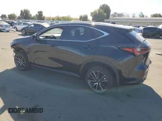 2024 Lexus NX with VIN 2T2ADCEZ5RC004741, listed as a Copart auction lot 76725814 with 13,247 mi miles and Salvage Title. Bid and sale history available at carsss.com. Image 2.