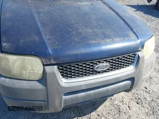 2004 Ford Escape XLT with VIN 1FMYU03114DA07741, listed as a IAAI auction lot 42332830 with 210,556 mi miles and . Bid and sale history available at DreamBid. Image 6.