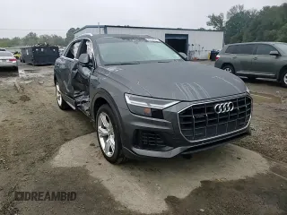 2019 Audi Q8 Premium Plus z VIN WA1BVBF13KD034039, wystawiony jako Copart lot #79762724 z przebiegiem 55 412 mil mil oraz Szkoda całkowita • Salvage title. Historia ofert i sprzedaży dostępna na DreamBid. Obrazek 15.
