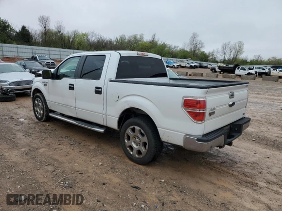 2010 Ford F-150 XL with VIN 1FTFW1CVXAFC29578, listed as a Copart auction lot 50214125 with 203,410 mi miles and Salvage Title. Bid and sale history available at carsss.com. Image 2.