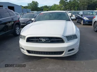 2013 Ford Mustang V6 with VIN 1ZVBP8AM1D5254018, listed as a IAAI auction lot 42738081 with 231,643 mi miles and . Bid and sale history available at DreamBid. Image 12.