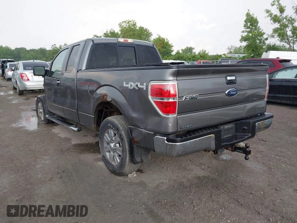 2010 Ford F-150 XL with VIN 1FTEX1E83AFD64062, listed as a IAAI auction lot 42550600 with 135,059 mi miles and . Bid and sale history available at DreamBid. Image 3.