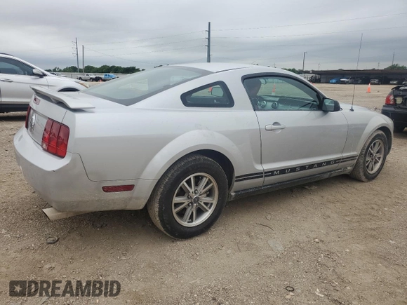 2005 Ford Mustang Deluxe with VIN 1ZVHT80N955249439, listed as a Copart auction lot 55536255 with 118,984 mi miles and Salvage title. Bid and sale history available at DreamBid. Image 3.