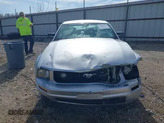 2006 Ford Mustang Standard with VIN 1ZVFT80N365237666, listed as a IAAI auction lot 41850272 with 215,949 mi miles and . Bid and sale history available at carsss.com. Image 12.