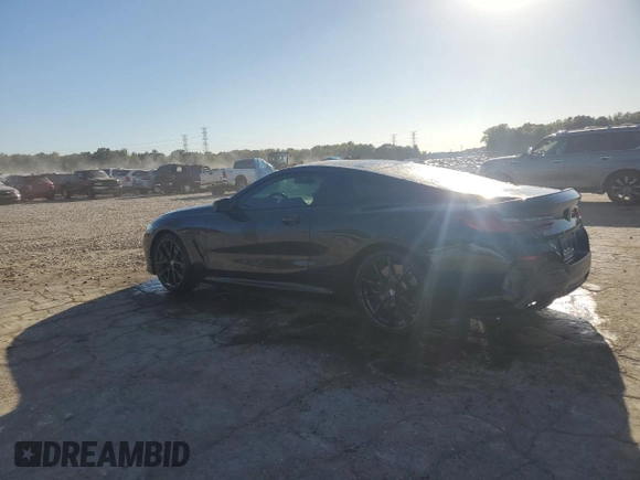 2019 BMW 8 Series M850i xDrive with VIN WBABC4C50KBJ35899, listed as a Copart auction lot 74049574 with 60,220 mi miles and Salvage Title. Bid and sale history available at carsss.com. Image 2.