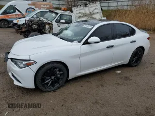 2020 Alfa Romeo Giulia with VIN ZARFANAN5L7625929, listed as a Copart auction lot 81155194 with 0 mi miles and Non Repairable. Bid and sale history available at carsss.com. Image 1.