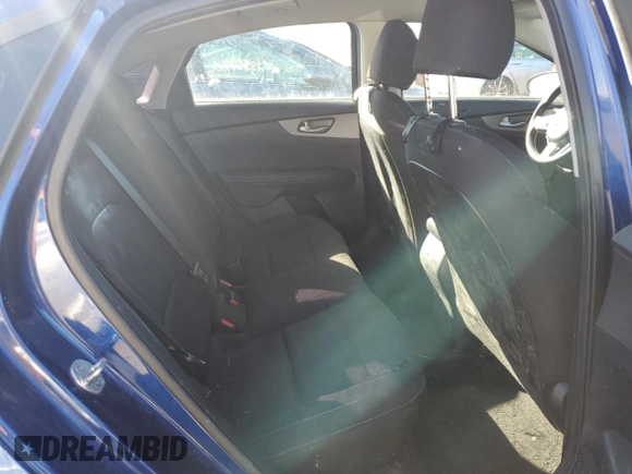 2019 Kia Forte LXS with VIN 3KPF24AD8KE134410, listed as a Copart auction lot 48316705 with 120,856 mi miles and Salvage Title. Bid and sale history available at carsss.com. Image 10.