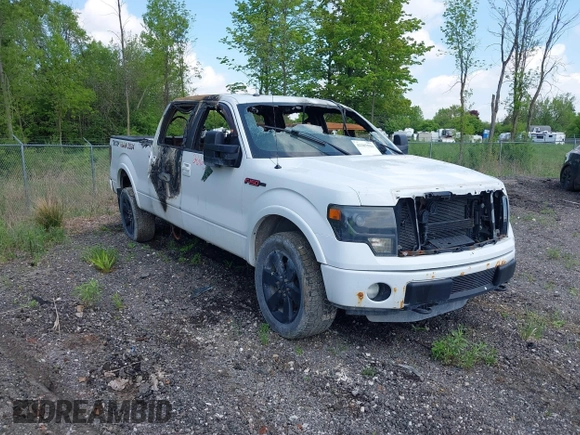 2013 Ford F-150 XL with VIN 1FTFW1ETXDFA48643, listed as a IAAI auction lot 42287016 with Not provided miles and . Bid and sale history available at DreamBid. Image 1.