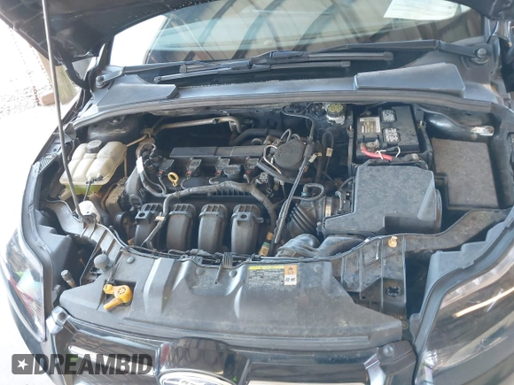 2013 Ford Focus Titanium with VIN 1FADP3J20DL143491, listed as a IAAI auction lot 42034388 with 194,388 mi miles and . Bid and sale history available at carsss.com. Image 10.