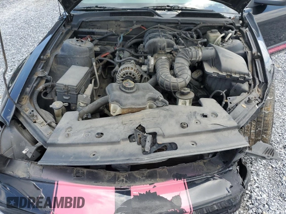 2007 Ford Mustang Deluxe with VIN 1ZVFT84N875303169, listed as a Copart auction lot 58171305 with 205,112 mi miles and Salvage title. Bid and sale history available at DreamBid. Image 11.