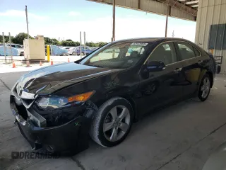 2010 Acura TSX with VIN JH4CU2F60AC009241, listed as a Copart auction lot 52933965 with 48,626 mi miles and Salvage Title. Bid and sale history available at carsss.com. Image 1.