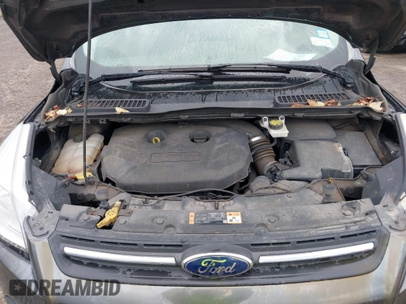 2016 Ford Escape SE with VIN 1FMCU9G92GUC22029, listed as a IAAI auction lot 42032478 with 133,853 mi miles. Bid and sale history available at carsss.com. Image 10.