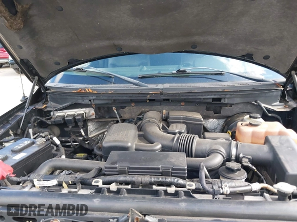 2009 Ford F-150 XL with VIN 1FTPW14V29FB35404, listed as a IAAI auction lot 42764594 with 130,012 mi miles and . Bid and sale history available at DreamBid. Image 10.