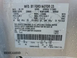 2009 Ford F-150 XL with VIN 1FTRW12879FA42609, listed as a Copart auction lot 62177534 with 157,629 mi miles and Salvage Title. Bid and sale history available at carsss.com. Image 12.