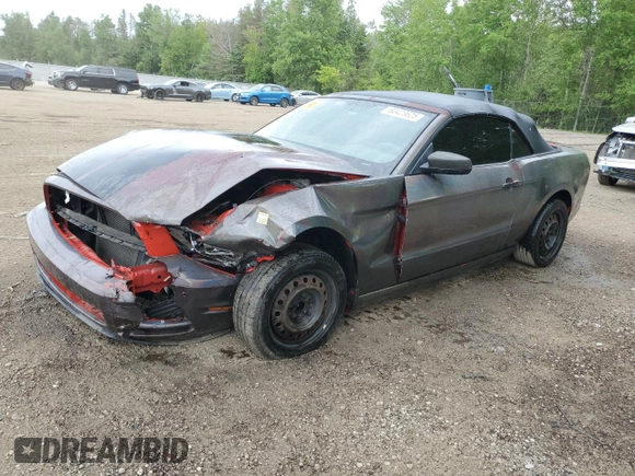 2013 Ford Mustang V6 with VIN 1ZVBP8EMXD5213980, listed as a Copart auction lot 60423625 with 220,419 mi miles and Salvage title. Bid and sale history available at DreamBid. Image 1.