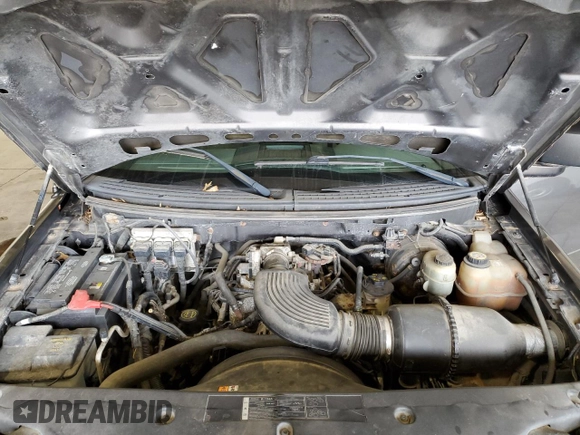 2006 Ford F-150 XL with VIN 1FTRF14W56NB04313, listed as a Copart auction lot 49626725 with 252,035 mi miles and Salvage Title. Bid and sale history available at carsss.com. Image 11.