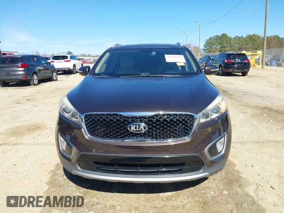 2016 Kia Sorento EX with VIN 5XYPH4A50GG043914, listed as a IAAI auction lot 41670153 with 113,121 mi miles. Bid and sale history available at carsss.com. Image 12.