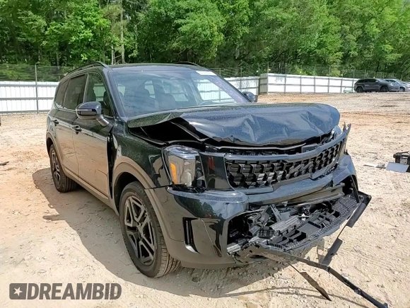 2025 Kia Telluride EX X-Line z VIN 5XYP3DGC8SG632397, wystawiony jako Copart lot #57338685 z przebiegiem 501 mil mil oraz Szkoda całkowita • Salvage title. Historia ofert i sprzedaży dostępna na DreamBid. Obrazek 14.
