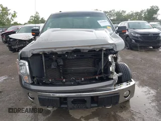 2010 Ford F-150 XL with VIN 1FTEX1E83AFD64062, listed as a IAAI auction lot 42550600 with 135,059 mi miles and . Bid and sale history available at DreamBid. Image 13.