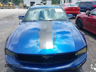 2006 Ford Mustang Standard with VIN 1ZVFT80N365125546, listed as a IAAI auction lot 42659162 with 221,544 mi miles and . Bid and sale history available at DreamBid. Image 6.