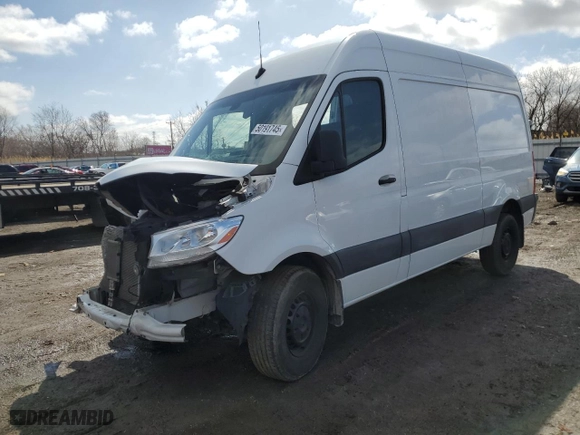 2019 Mercedes-Benz Sprinter Cargo Van with VIN WD3PF0CD5KP162982, listed as a Copart auction lot 50191745 with 0 mi miles and Salvage Title. Bid and sale history available at carsss.com. Image 1.