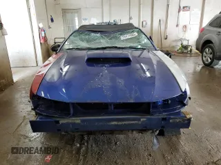 2004 Ford Mustang Deluxe with VIN 1FAFP44684F189081, listed as a Copart auction lot 59474985 with 249,812 mi miles and Salvage title. Bid and sale history available at DreamBid. Image 5.