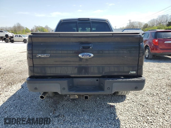 2010 Ford F-150 XL with VIN 1FTFW1EV4AFD85533, listed as a Copart auction lot 53911015 with 152,980 mi miles and Clean title. Bid and sale history available at DreamBid. Image 6.