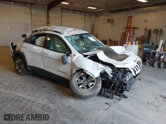 2019 Jeep Cherokee Trailhawk with VIN 1C4PJMBX1KD200300, listed as a IAAI auction lot 41781465 with Not Provided miles and . Bid and sale history available at DreamBid. Image 1.