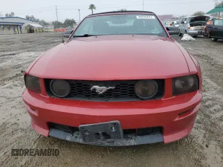 2009 Ford Mustang GT with VIN 1ZVHT85H395116989, listed as a Copart auction lot 44259475 with 98,104 mi miles and Salvage title. Bid and sale history available at DreamBid. Image 5.